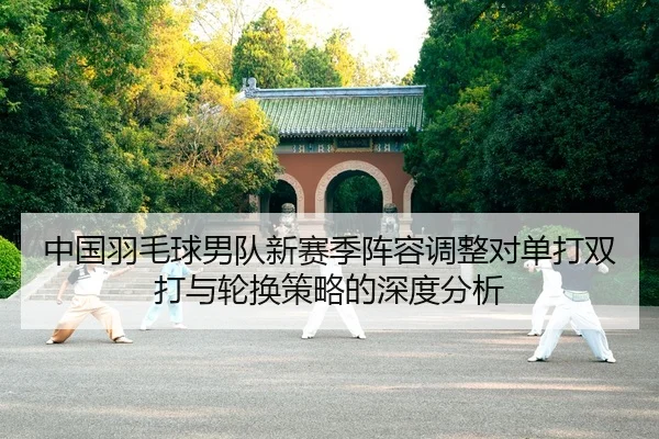 zhong-guo-yu-mao-qiu-nan-dui-xin-sai-ji-zhen-rong-tiao-zheng-dui-dan-da-shuang-da-yu-lun-huan-ce-lve-de-shen-du-fen-xi-2-981.jpg