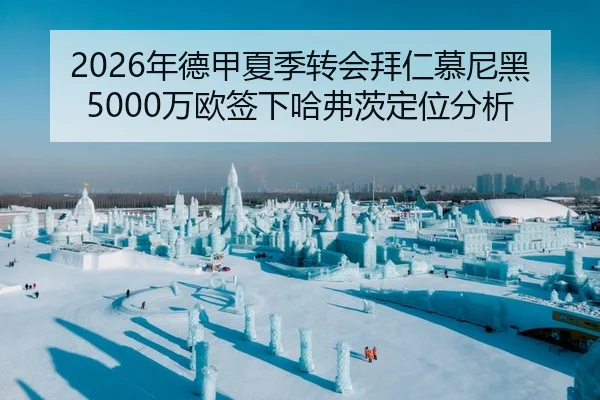 2026年德甲夏季转会拜仁慕尼黑5000万欧签下哈弗茨定位分析