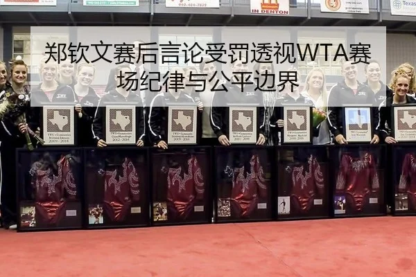 郑钦文赛后言论受罚透视WTA赛场纪律与公平边界