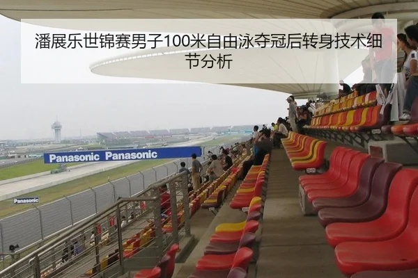 潘展乐世锦赛男子100米自由泳夺冠后转身技术细节分析